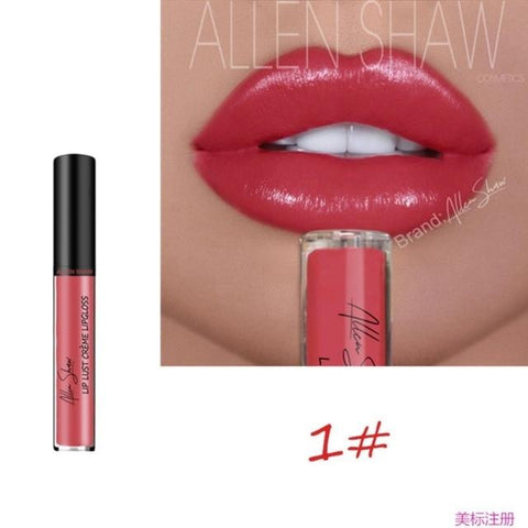 12 Colors Makeup Long Lasting Lipstick Deep Moisturizing Cream Texture Lip Gloss Soft Matte Lip Cream