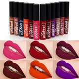 12color Brand Batom Matte Lip Gloss Long Lasting Nude Velvet Lip Cream Tattoo Labiales Matte Liquid Lipstick Cosmetics