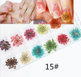 1Box Nail Art Rhinestones Glitter 3D Nail Charms Dried Flowers Nail Jewelry Gems Nail Studs Crystal Rhinestone Beads #264628