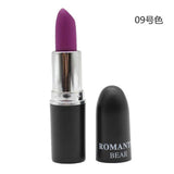 2018 New Sexy Color Beauty Red Lips Baton Matte Velvet Lip Stick Waterproof Makeup Pigment Brown Nude Matte Lipstick Pencils
