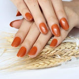 2019 24pcs Hot fashion candy color false nails finished Design 54 Optional