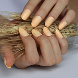 2019 24pcs Hot fashion candy color false nails finished Design 54 Optional