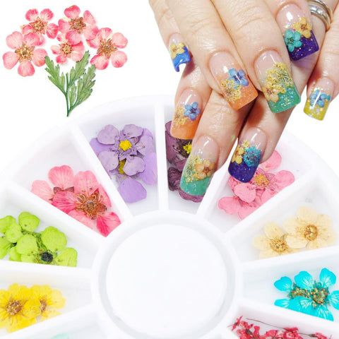 24PCS/Wheel Nail Art Decoration Dried Flower 3D Manicure Polish Summer Real Preserved Floral Leaf Mixed Dry Bloom TipsTRXHD