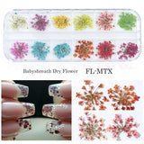 3D Nail Art Dried Flower Mixed Preserved Daisy Babysbreath Natural Sticker DIY Manicure Nail Art Decorations 12 Color/Box  CHFL