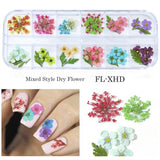 3D Nail Art Dried Flower Mixed Preserved Daisy Babysbreath Natural Sticker DIY Manicure Nail Art Decorations 12 Color/Box  CHFL
