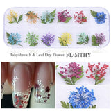 3D Nail Art Dried Flower Mixed Preserved Daisy Babysbreath Natural Sticker DIY Manicure Nail Art Decorations 12 Color/Box  CHFL