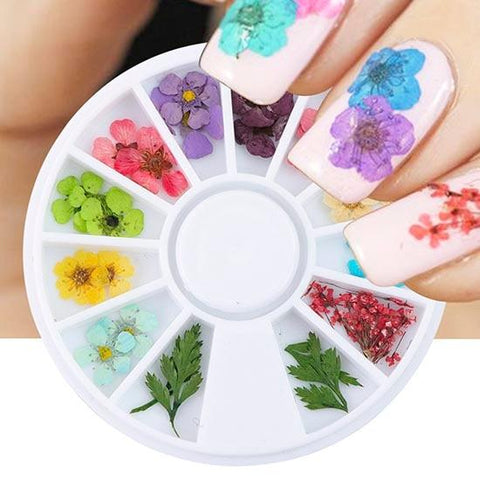 3D Nail Art Dried Flower Mixed Preserved Daisy Babysbreath Natural Sticker DIY Manicure Nail Art Decorations 12 Color/Box  CHFL