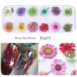 3D Nail Art Dried Flower Mixed Preserved Daisy Babysbreath Natural Sticker DIY Manicure Nail Art Decorations 12 Color/Box  CHFL