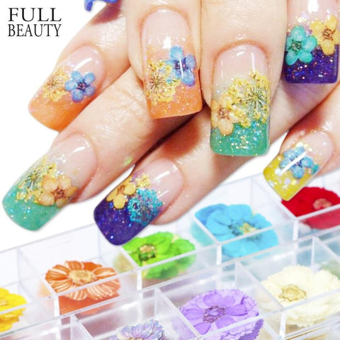 3D Nail Art Dried Flower Mixed Preserved Daisy Babysbreath Natural Sticker DIY Manicure Nail Art Decorations 12 Color/Box  CHFL