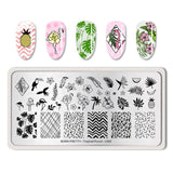 BORN PRETTY Flamigo Tropical Nail Stamping Plate Fruit Punch Pattern Rectangle Template Nail Stamp Image Plate