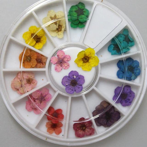BlueZoo Dry Flower Nail Art Real Nail Art Dried Flowers Nail Art Decorations Floral Manicure Floral Stickers Nail Rhinestone