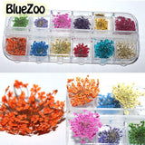 BlueZoo Dry Flower Nail Art Real Nail Art Dried Flowers Nail Art Decorations Floral Manicure Floral Stickers Nail Rhinestone