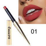 Brand 2018 Sexy Matte Lipstick Batom Mate Nude Color Waterproof Long Lasting Makeup Lipstick Silky Texture Durable Lips Cosmetic