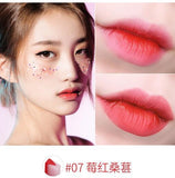 Hot Sale Women Double Color Lipstick Waterproof Long-Lasting Lip Gloss Moisturzing Nourishing Lipsticks Balm Lip Cosmetics