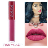 KADALADO Brand Waterproof Nude Long Lasting Matte Liquid Lipstick Lip Gloss Lip Makeup Lipgloss Lip Makeup Beauty Cosmetics
