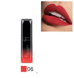 Professional Makeup Lip Gloss Color Long Lasting Metallic Sexy Red Velvet Matte Liquid Lipstick Lip Tint Cosmetics Lipgloss